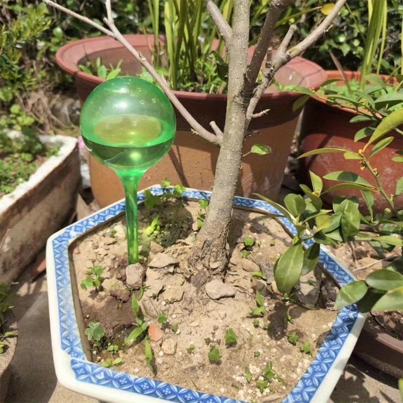 6PCS Bola Penyiram Otomatis un - Smart Garden Technology ulasan dan harga