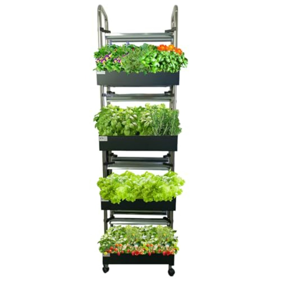 Sistem hidroponik dalam ruanga - Smart Garden Lighting System ulasan dan harga